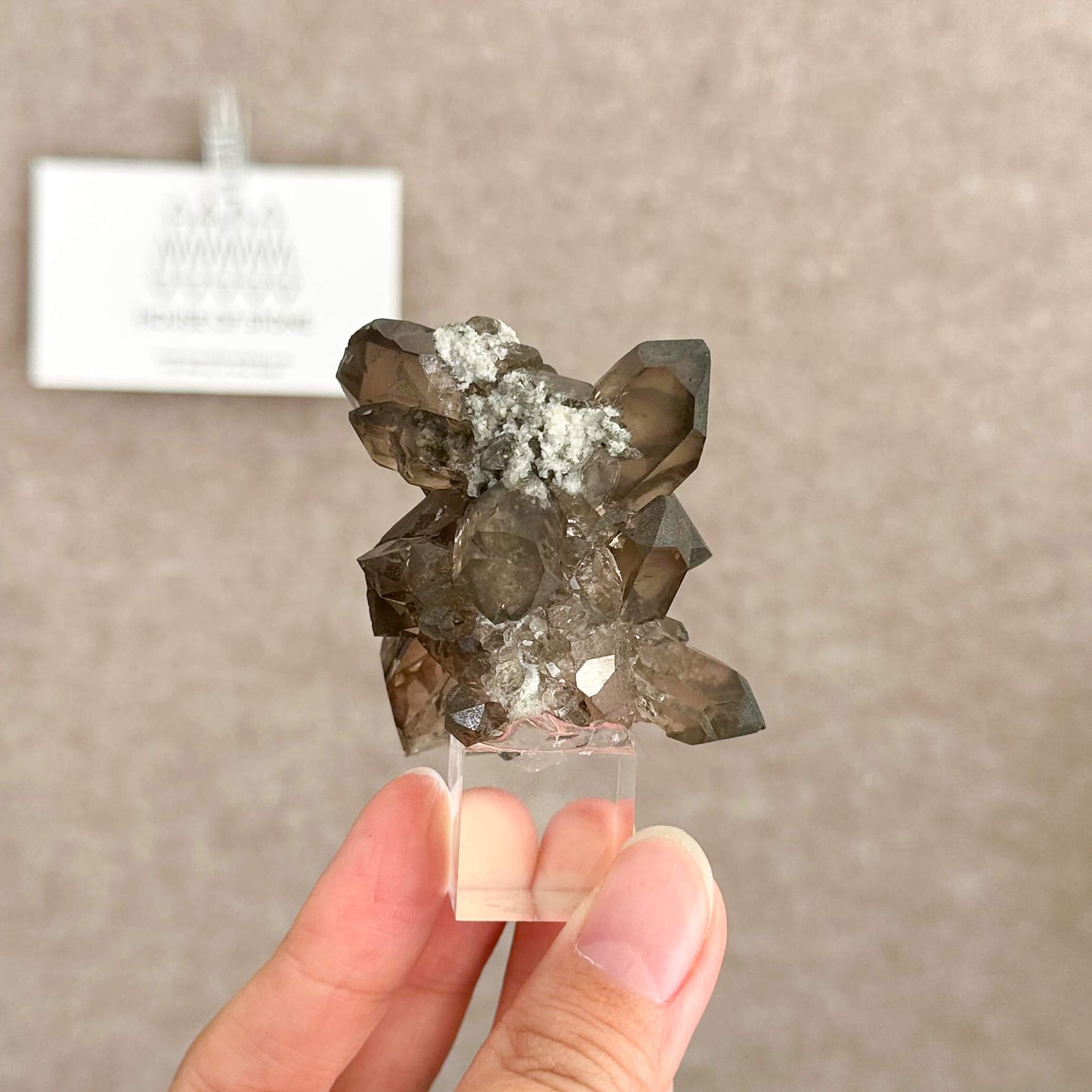 Alpine Mineral Small Swiss Faden Smoky Quartz Specimen/Switzerland Faden Quartz Apls