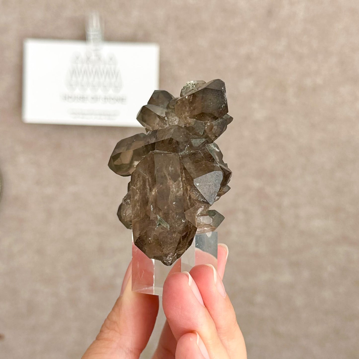 Alpine Mineral Small Swiss Faden Smoky Quartz Specimen/Switzerland Faden Quartz Apls