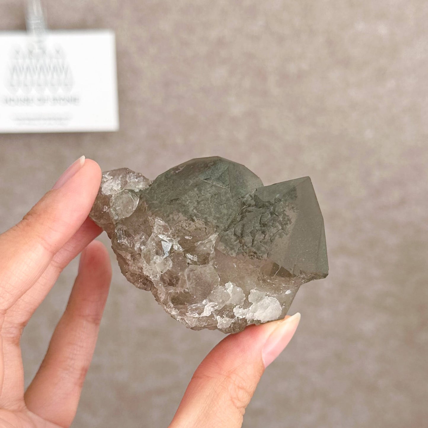 Alpine Mineral Smoky Quartz Cluster Specimen/Chamonix-Mont-Blanc France Cluster/Apls Crystal Cluster