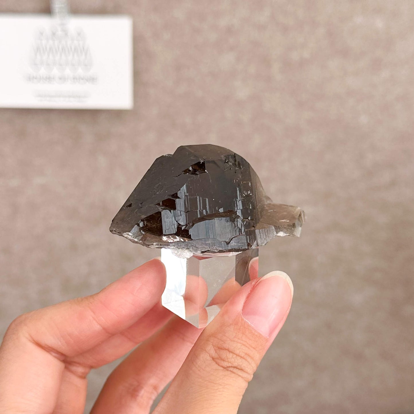 Alpine Mineral Swiss Gwindel Dark Smoky Quartz Specimen/Switzerland Gwindel Apls Crystal