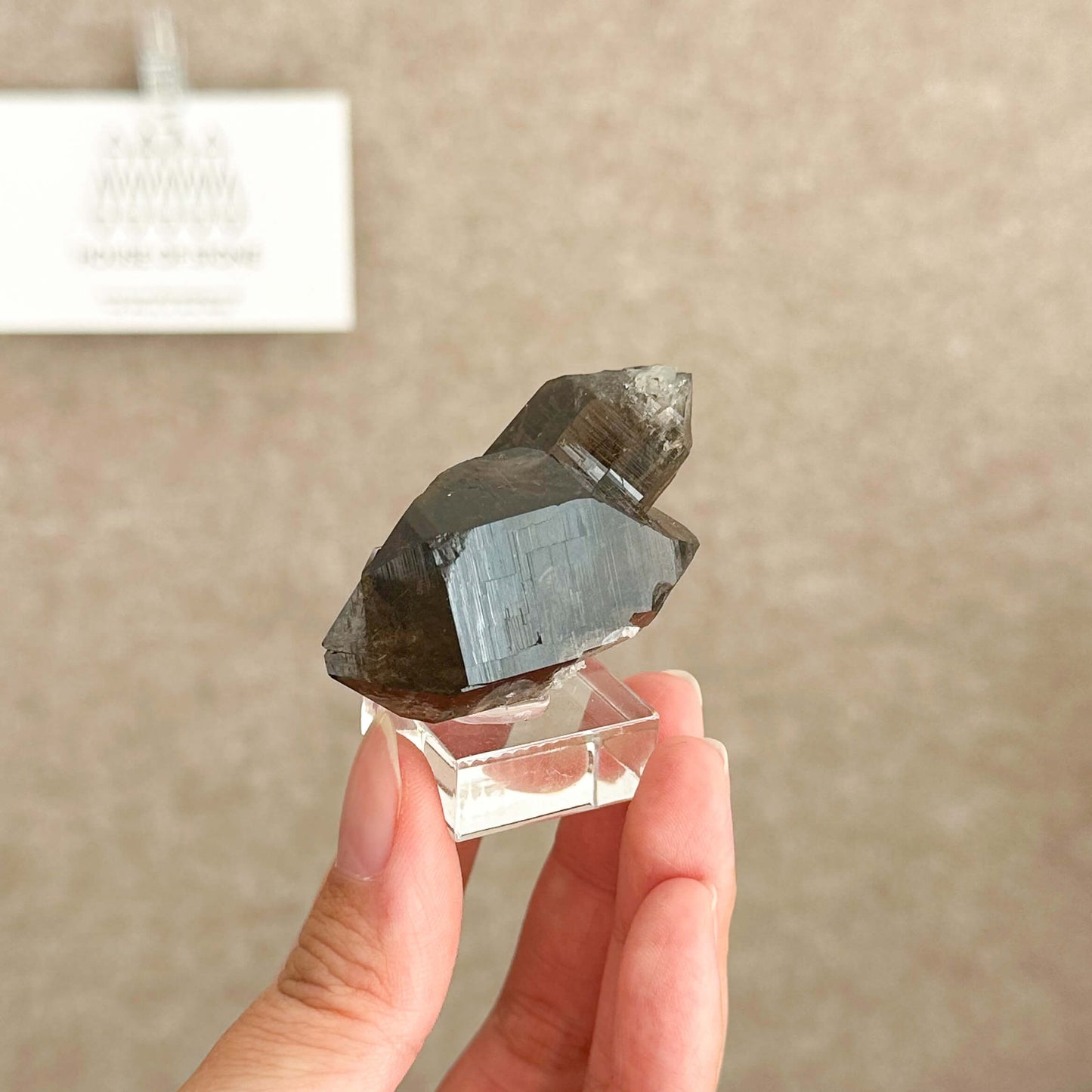 Alpine Mineral Swiss Gwindel Dark Smoky Quartz Specimen/Switzerland Gwindel Apls Crystal