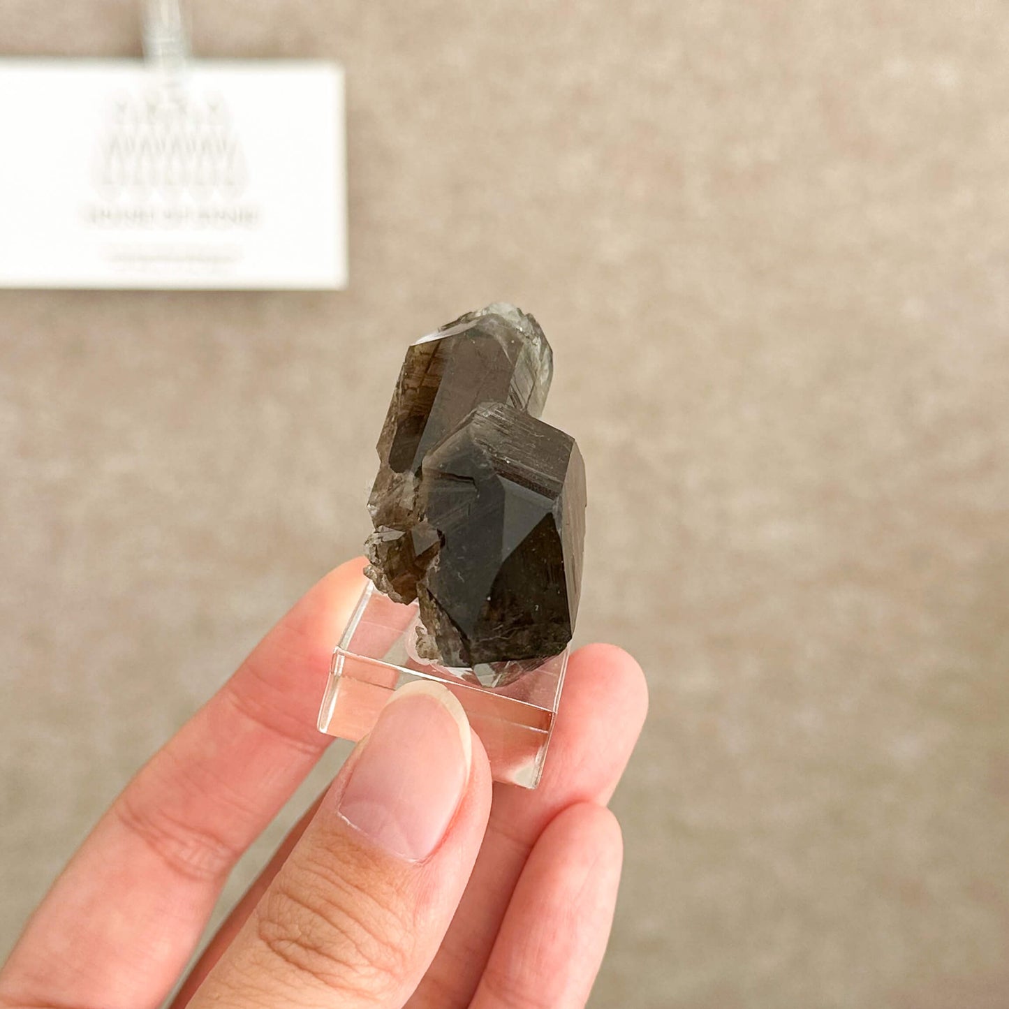 Alpine Mineral Swiss Gwindel Dark Smoky Quartz Specimen/Switzerland Gwindel Apls Crystal