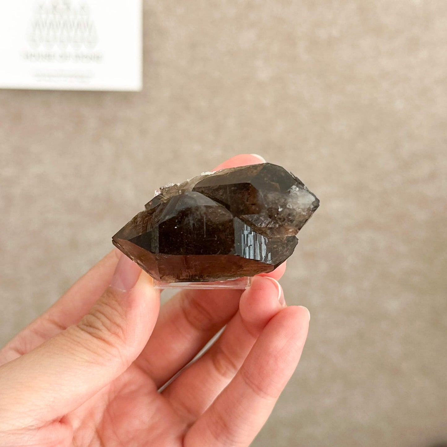 Alpine Mineral Swiss Gwindel Dark Smoky Quartz Specimen/Switzerland Gwindel Apls Crystal