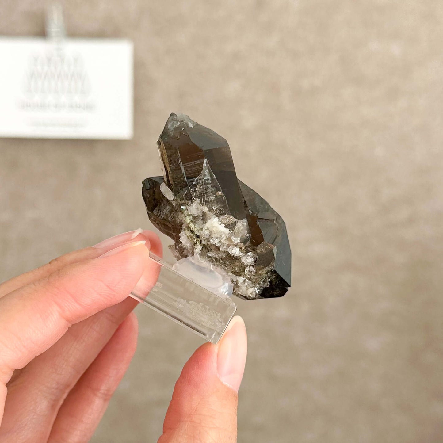 Alpine Mineral Swiss Gwindel Dark Smoky Quartz Specimen/Switzerland Gwindel Apls Crystal