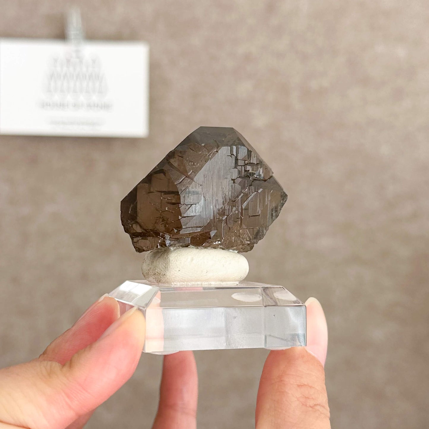 Alpine Mineral Swiss Gwindel Smoky Quartz Specimen/Switzerland Gwindel Apls
