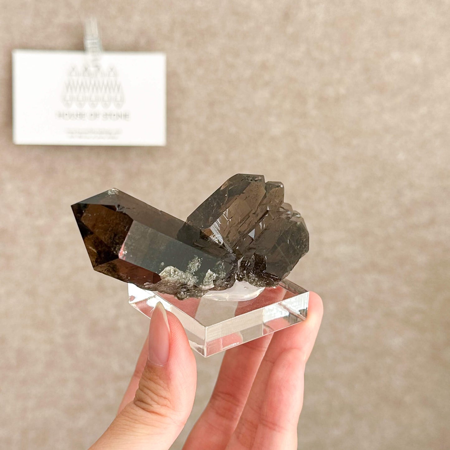 Alpine Mineral Swiss Gwindel Dark Smoky Quartz Specimen/Switzerland Gwindel Apls