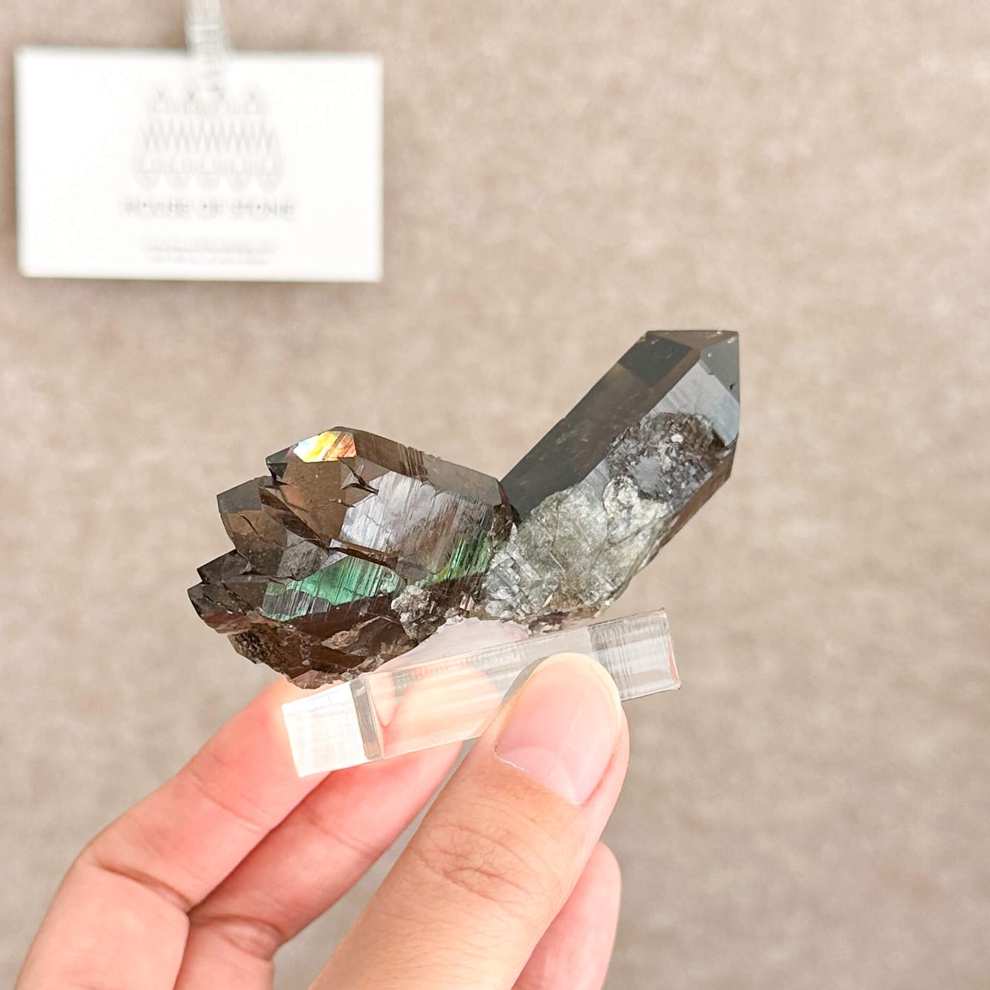 Alpine Mineral Swiss Gwindel Dark Smoky Quartz Specimen/Switzerland Gwindel Apls
