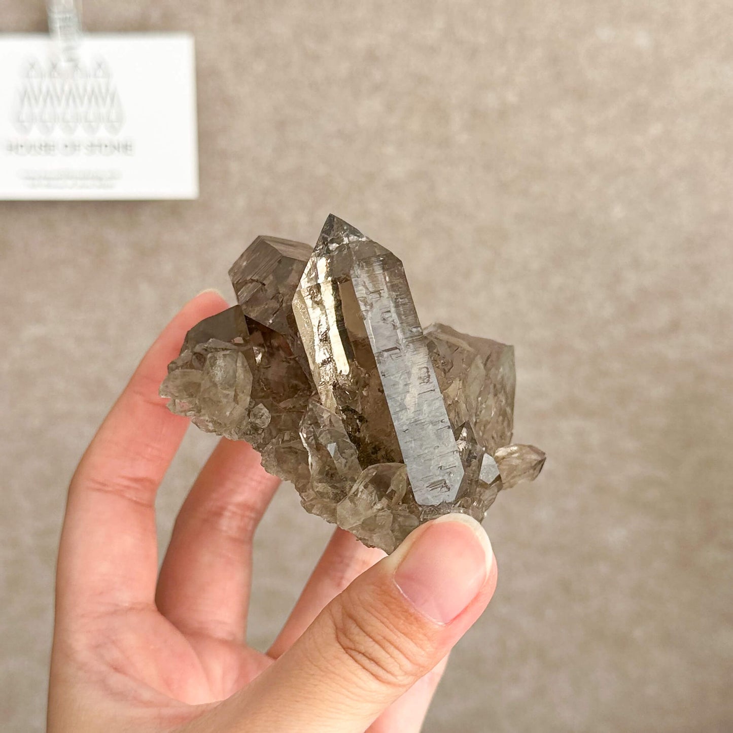 Alpine Mineral Swiss Gwindel Light Smoky Quartz Specimen/Switzerland Gwindel Apls