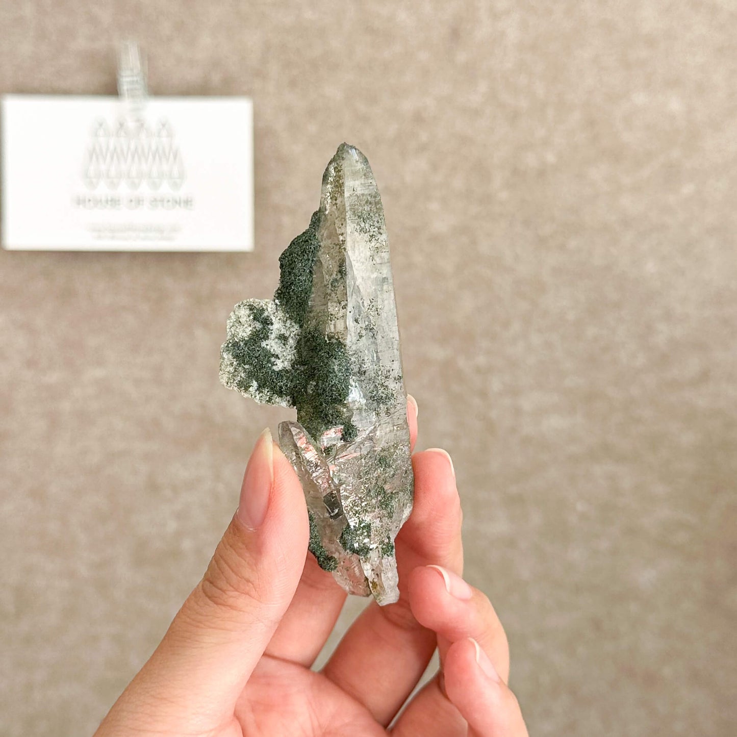 Swiss Tessin Smoky Quartz Point Specimen/Switzerland Ticino Tower/Alpine Mineral/Apls Double Terminated Quartz/Smoky Quartz Cluster with Chlorite