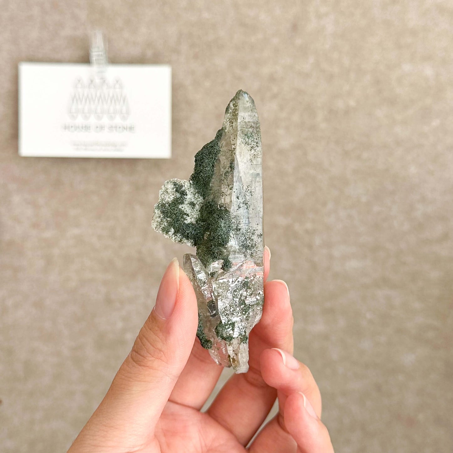 Swiss Tessin Smoky Quartz Point Specimen/Switzerland Ticino Tower/Alpine Mineral/Apls Double Terminated Quartz/Smoky Quartz Cluster with Chlorite