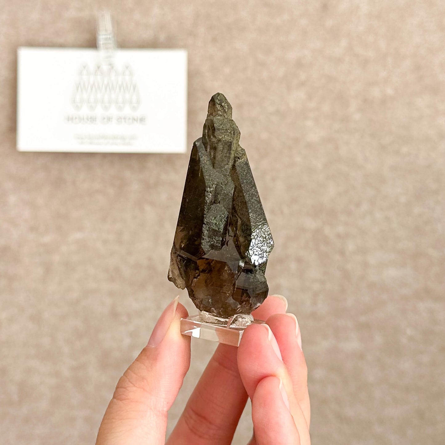 Alpine Mineral Small Swiss Faden Smoky Quartz Specimen/Switzerland Faden Quartz Apls