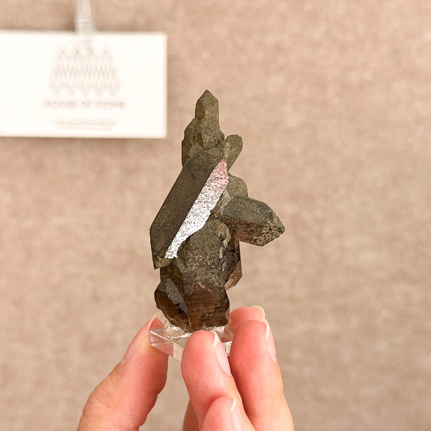 Alpine Mineral Small Swiss Faden Smoky Quartz Specimen/Switzerland Faden Quartz Apls