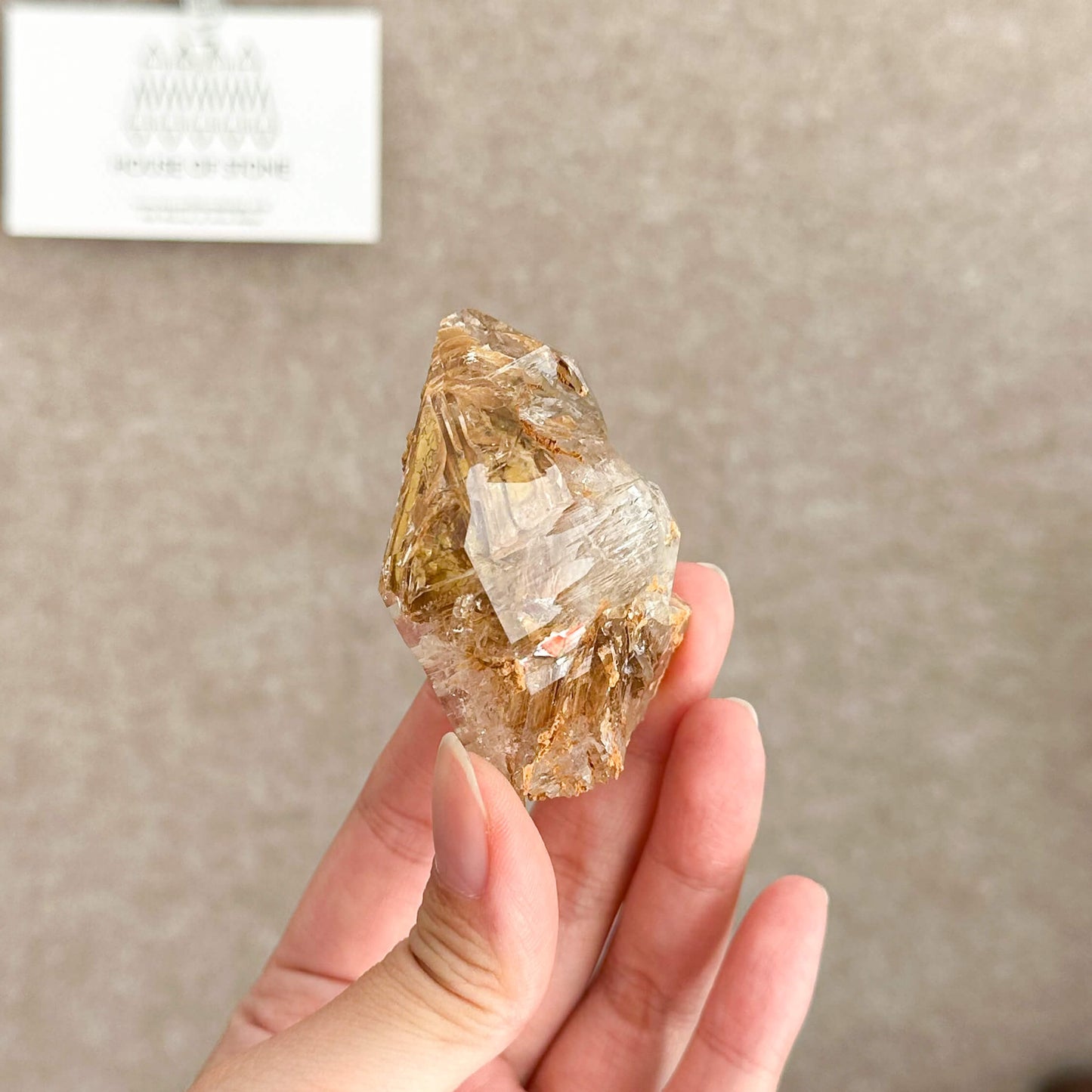 Swiss Skeletal Quartz Point Specimen/Switzerland Crystal Alpine Skeletal Quartz Mud Inclusions Mineral/Apls Double Terminated Window Quartz2