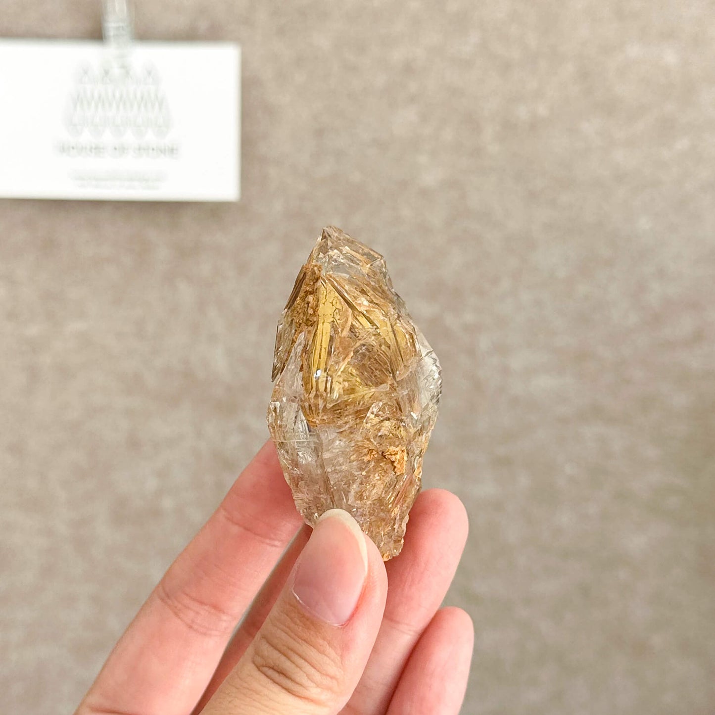 Swiss Skeletal Quartz Point Specimen/Switzerland Crystal Alpine Skeletal Quartz Mud Inclusions Mineral/Apls Double Terminated Window Quartz2