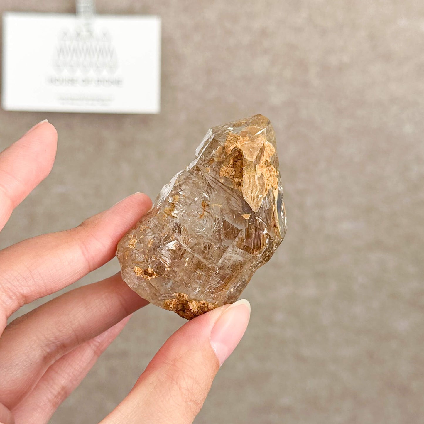 Swiss Skeletal Quartz Point Specimen/Switzerland Crystal Alpine Skeletal Quartz Mud Inclusions Mineral/Apls Double Terminated Window Quartz2