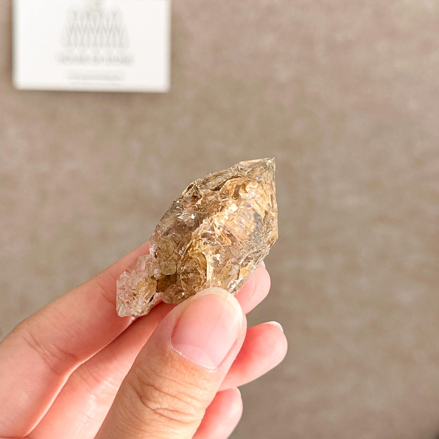 Swiss Skeletal Quartz Point Specimen/Switzerland Crystal Alpine Skeletal Quartz Mud Inclusions Mineral/Apls Double Terminated Window Quartz