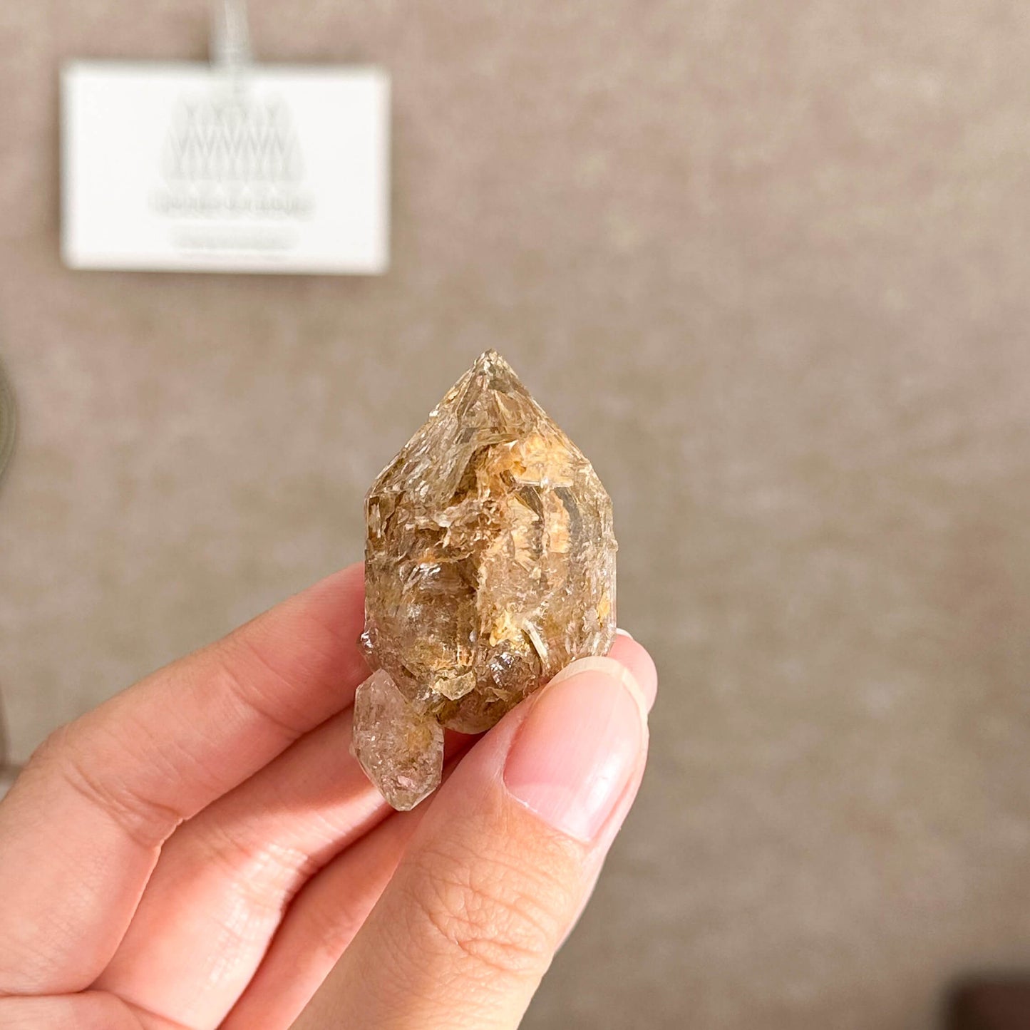 Swiss Skeletal Quartz Point Specimen/Switzerland Crystal Alpine Skeletal Quartz Mud Inclusions Mineral/Apls Double Terminated Window Quartz