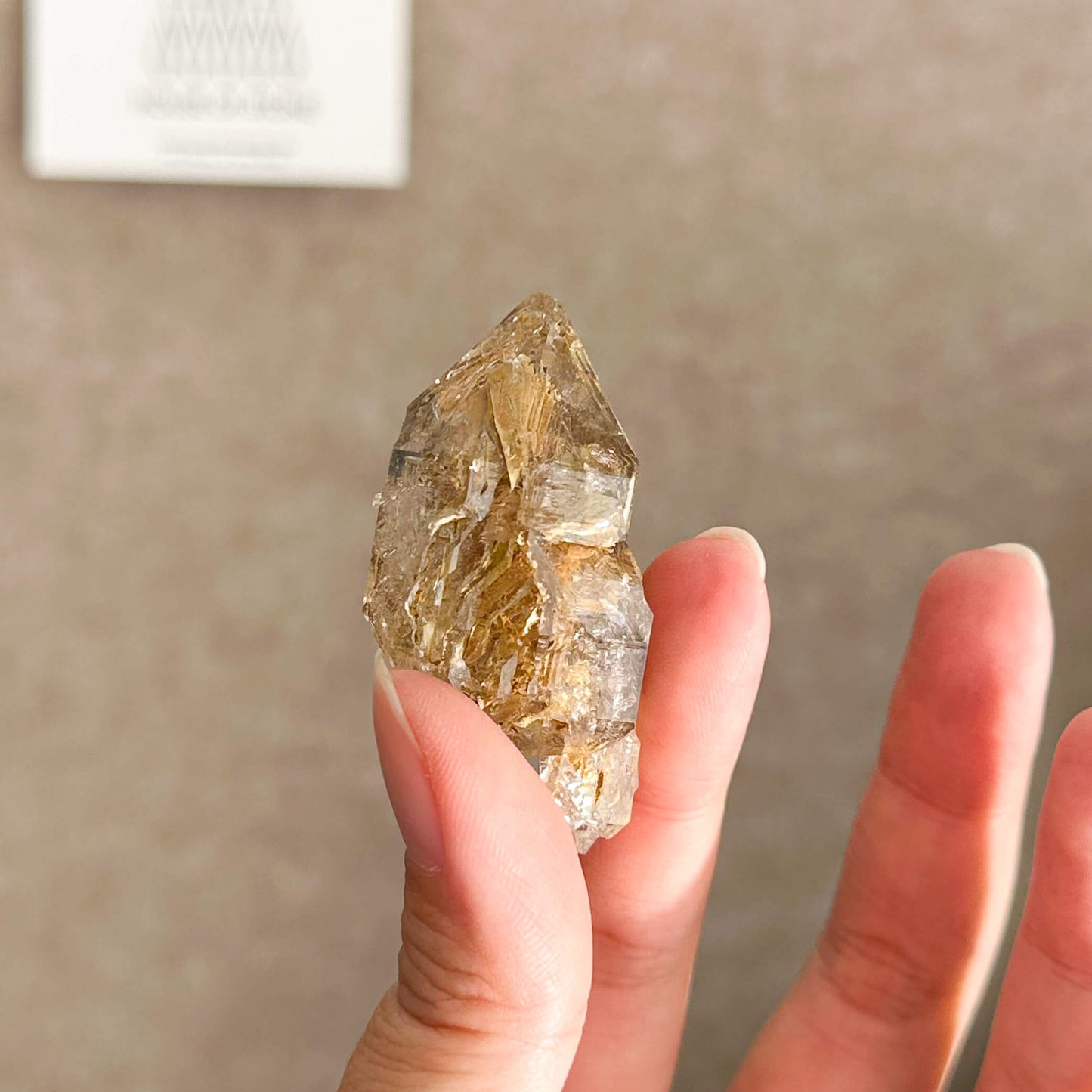 Swiss Skeletal Quartz Point Specimen/Switzerland Crystal Alpine Skeletal Quartz Mud Inclusions Mineral/Apls Double Terminated Window Quartz