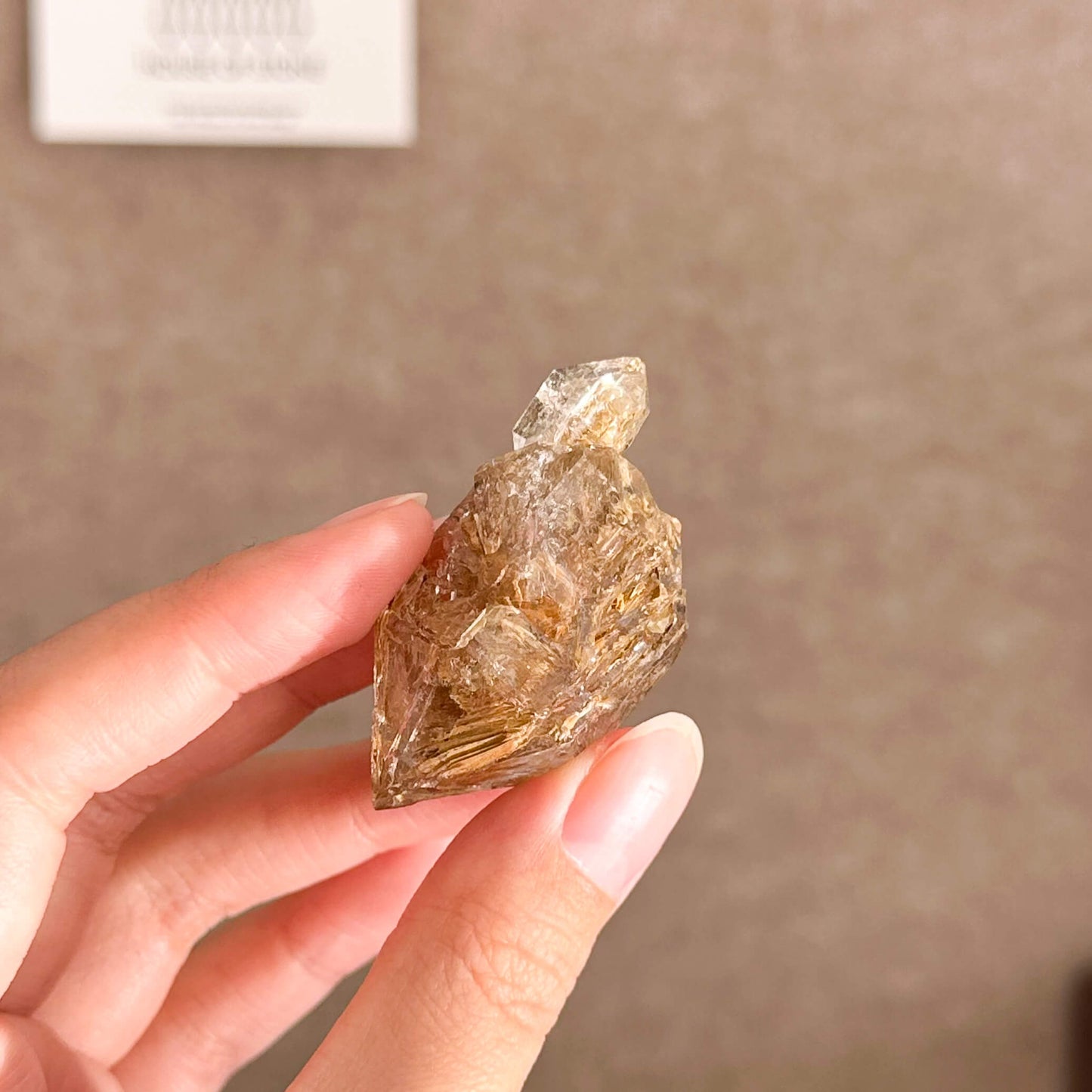 Swiss Skeletal Quartz Point Specimen/Switzerland Crystal Alpine Skeletal Quartz Mud Inclusions Mineral/Apls Double Terminated Window Quartz