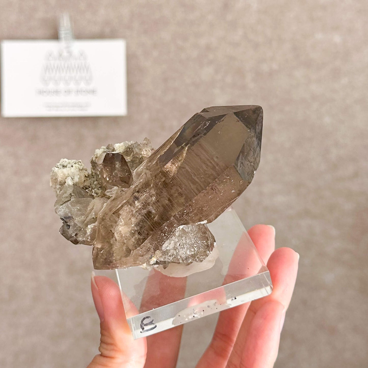 Alpine Mineral Smoky Quartz Point Specimen/Swiss Tower Apls/Double Terminated Quartz Points/Floater Quartz Cluster