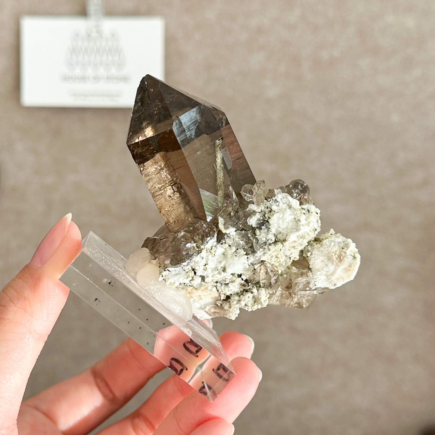 Alpine Mineral Smoky Quartz Point Specimen/Swiss Tower Apls/Double Terminated Quartz Points/Floater Quartz Cluster