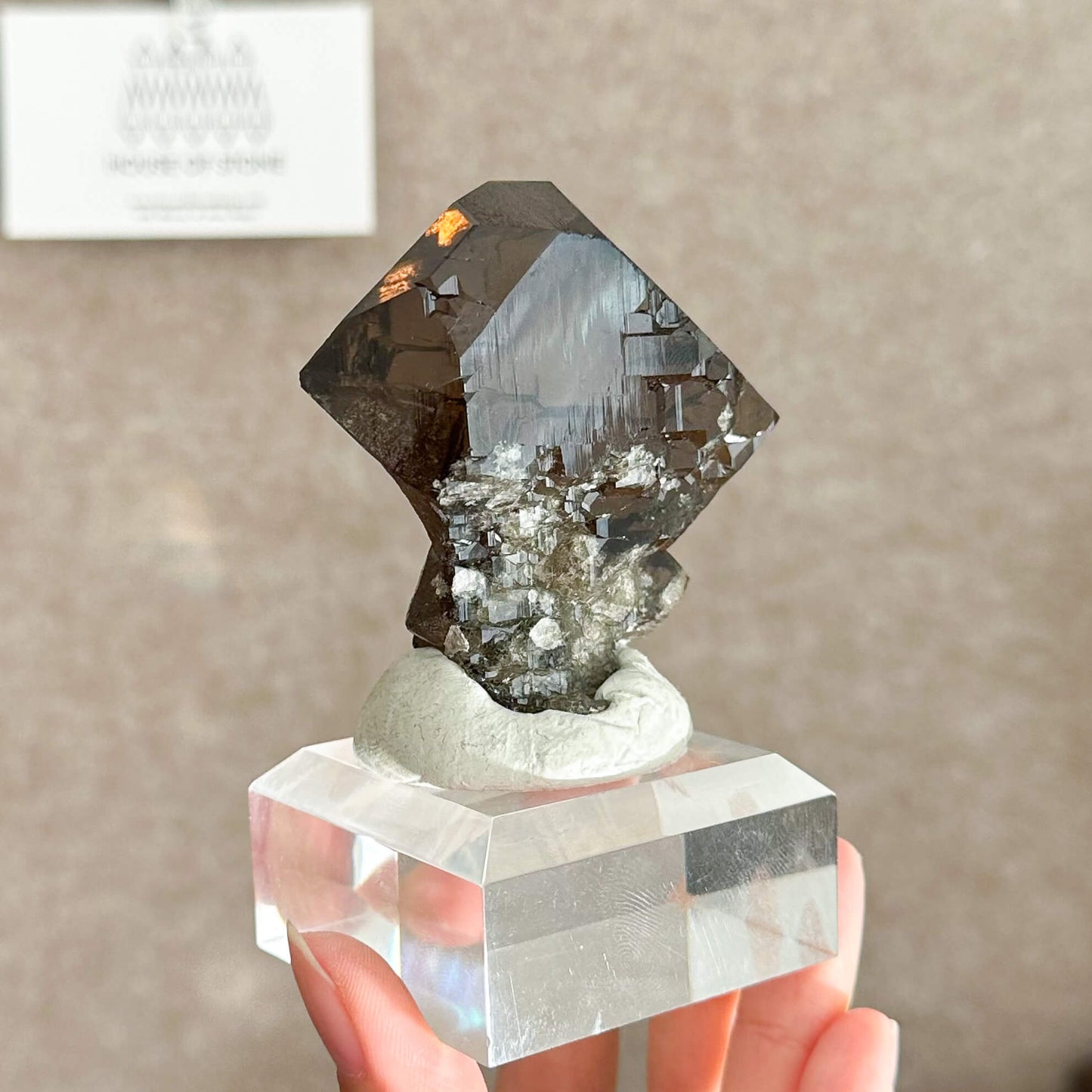 Alpine Mineral Swiss Gwindel Dark Smoky Quartz Specimen/Switzerland Gwindel Apls