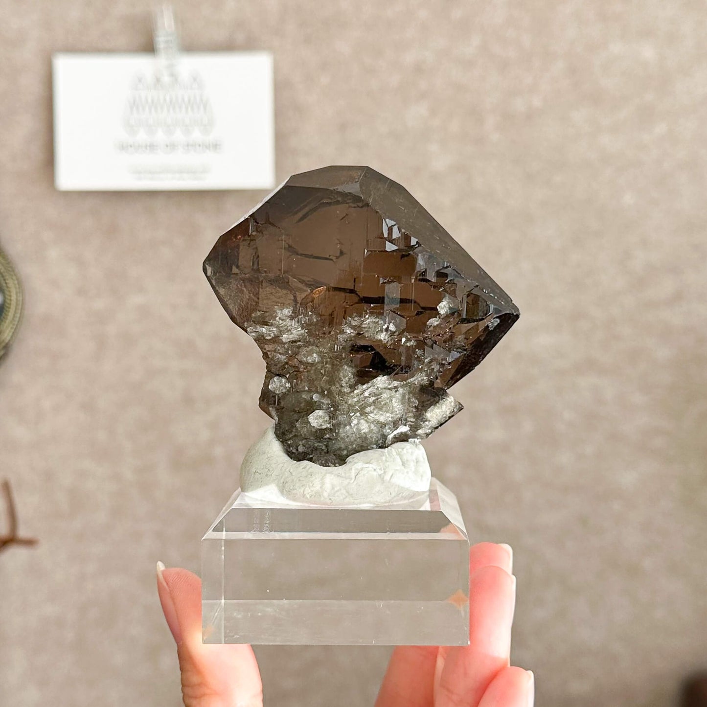 Alpine Mineral Swiss Gwindel Dark Smoky Quartz Specimen/Switzerland Gwindel Apls