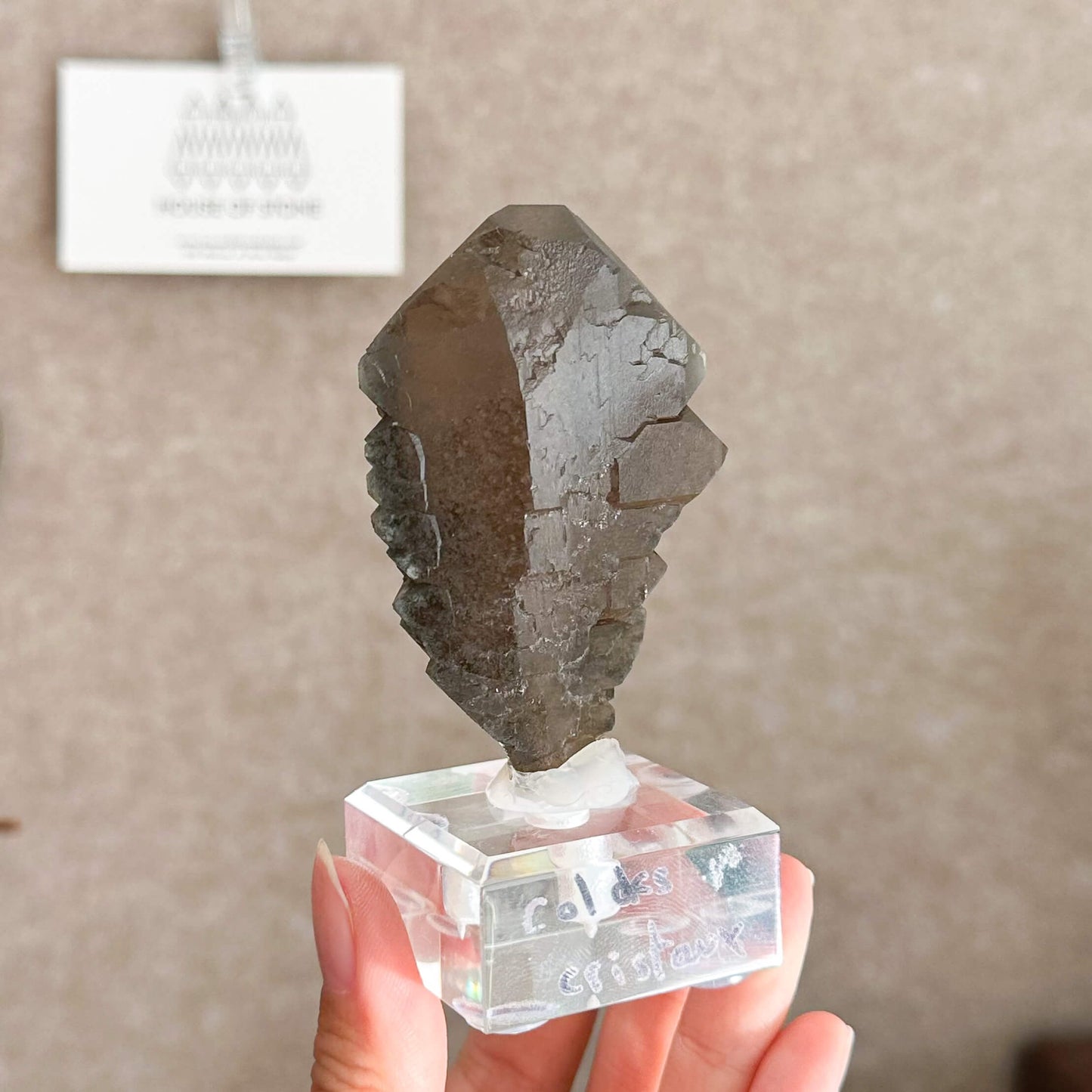 Alpine Mineral Swiss Gwindel Dark Smoky Quartz Specimen/Switzerland Gwindel Apls