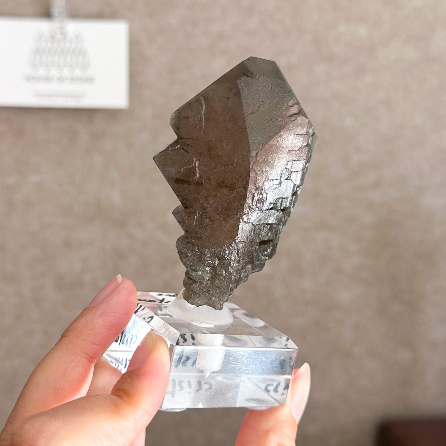 Alpine Mineral Swiss Gwindel Dark Smoky Quartz Specimen/Switzerland Gwindel Apls