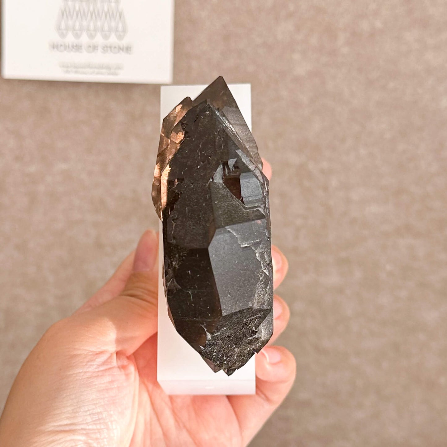 Alpine Mineral Swiss Gwindel Dark Smoky Quartz Specimen/Switzerland Gwindel Apls