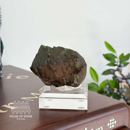 Alpine Mineral Swiss Gwindel Morion Smoky Quartz Specimen/Switzerland Gwindel Apls with Chlorite