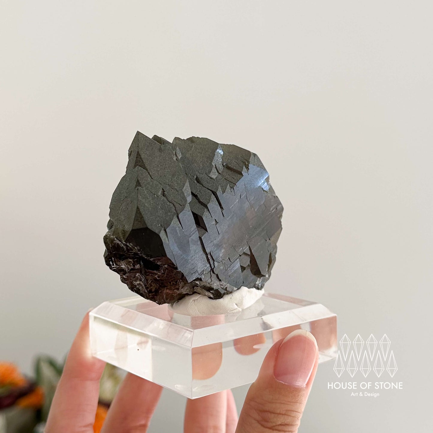 Alpine Mineral Swiss Gwindel Morion Smoky Quartz Specimen/Switzerland Gwindel Apls with Chlorite