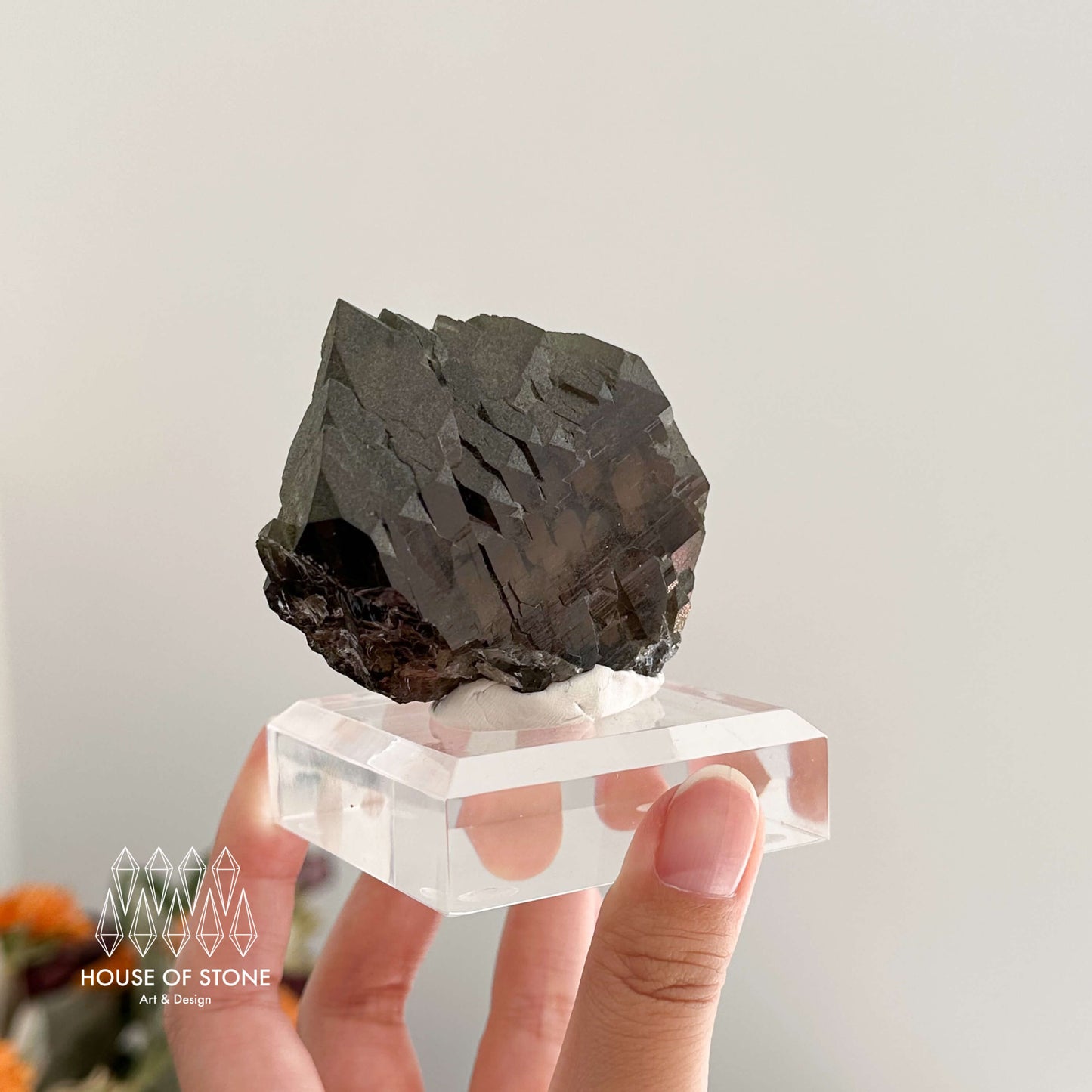 Alpine Mineral Swiss Gwindel Morion Smoky Quartz Specimen/Switzerland Gwindel Apls with Chlorite