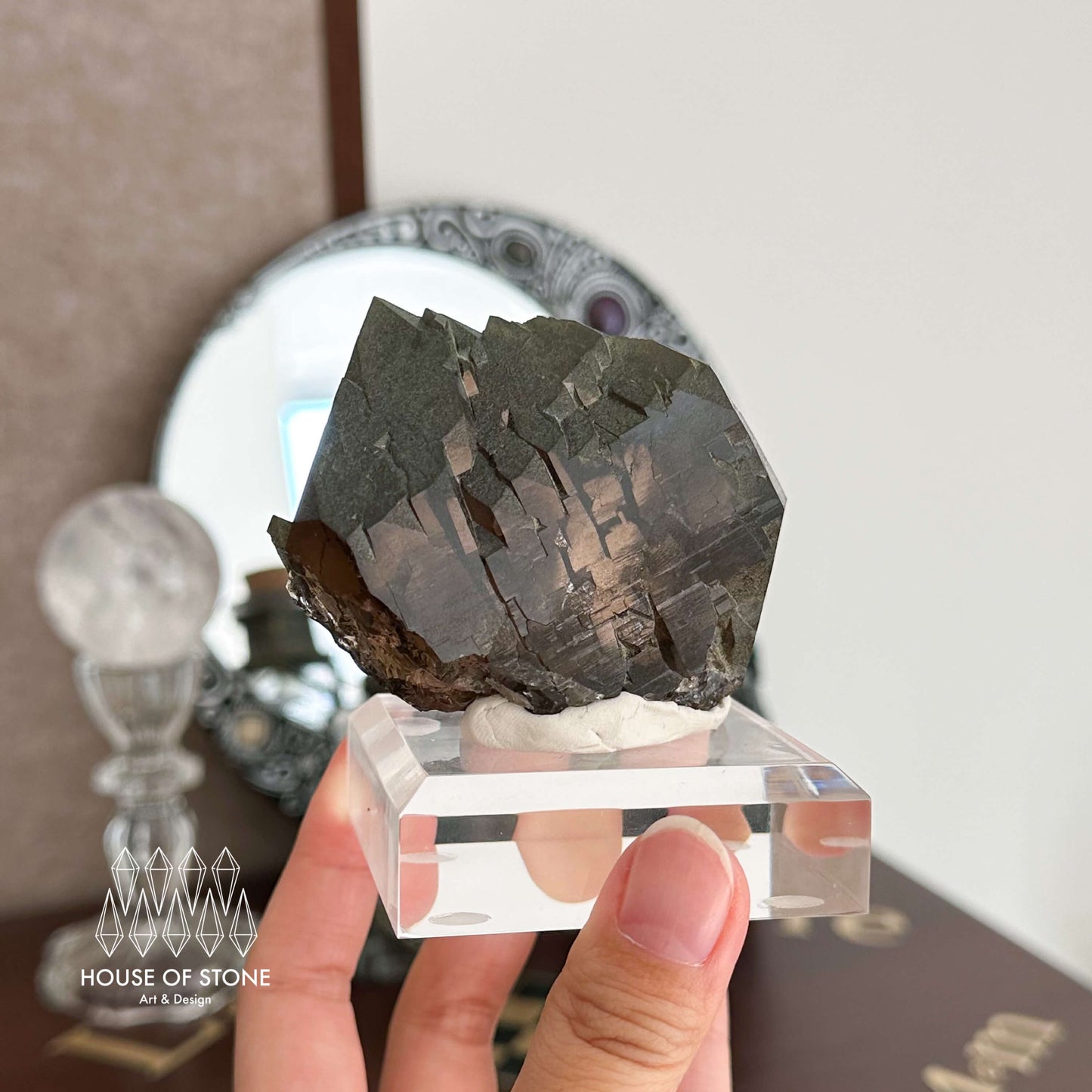 Alpine Mineral Swiss Gwindel Morion Smoky Quartz Specimen/Switzerland Gwindel Apls with Chlorite