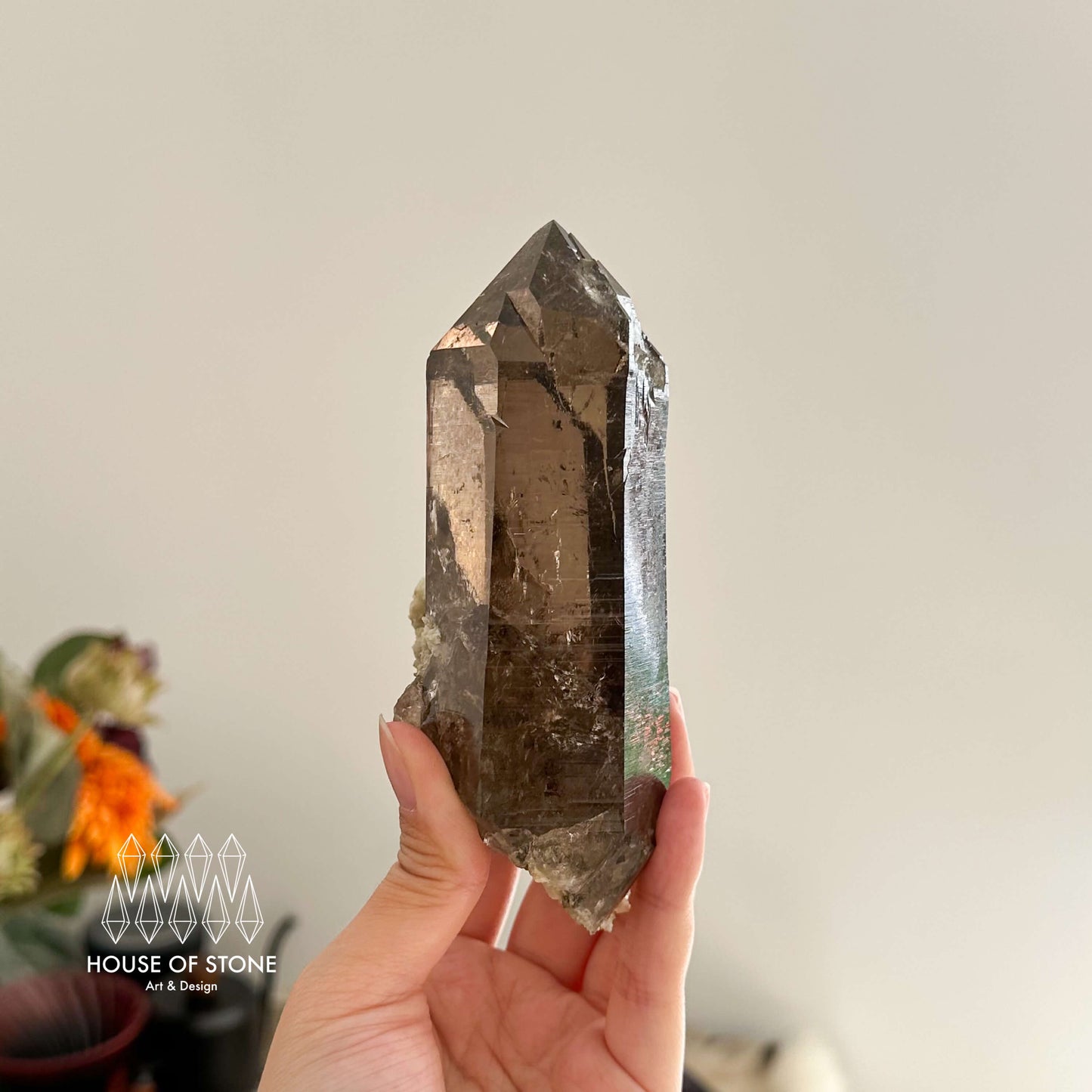 Large Alpine Mineral Smoky Quartz Point Specimen/Swiss Tower Apls/Double Terminated Quartz Points