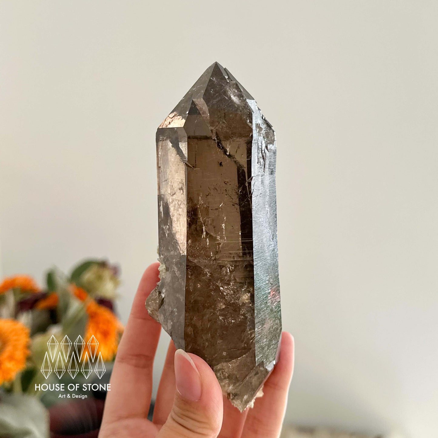 Large Alpine Mineral Smoky Quartz Point Specimen/Swiss Tower Apls/Double Terminated Quartz Points