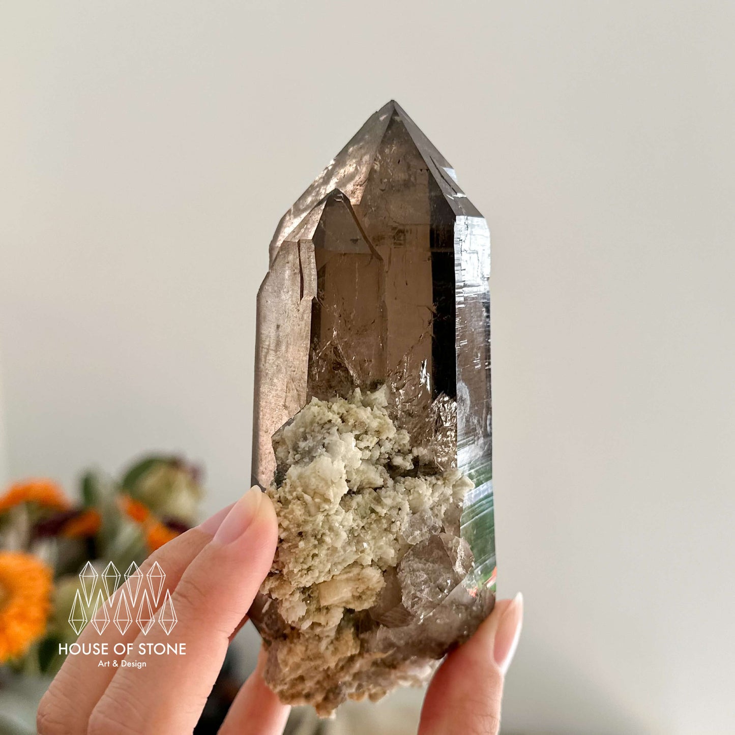 Large Alpine Mineral Smoky Quartz Point Specimen/Swiss Tower Apls/Double Terminated Quartz Points