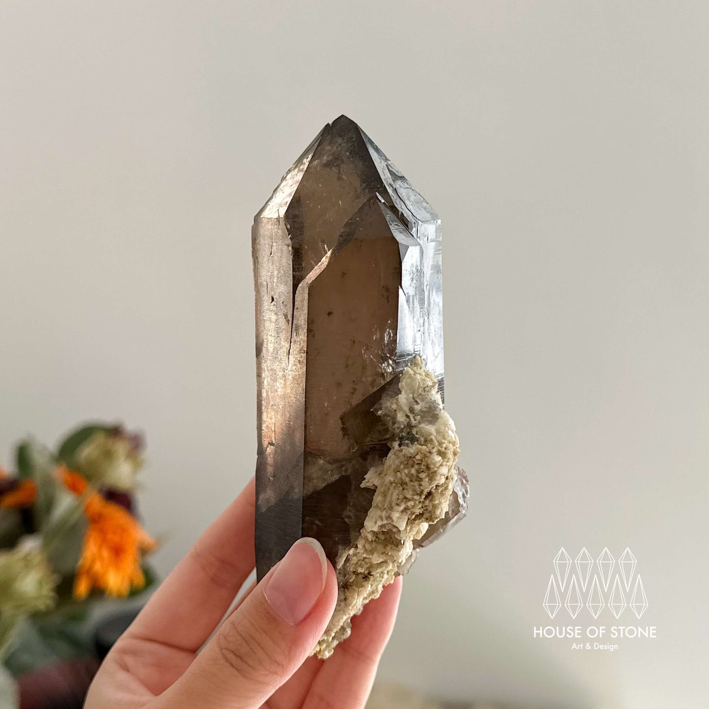 Large Alpine Mineral Smoky Quartz Point Specimen/Swiss Tower Apls/Double Terminated Quartz Points