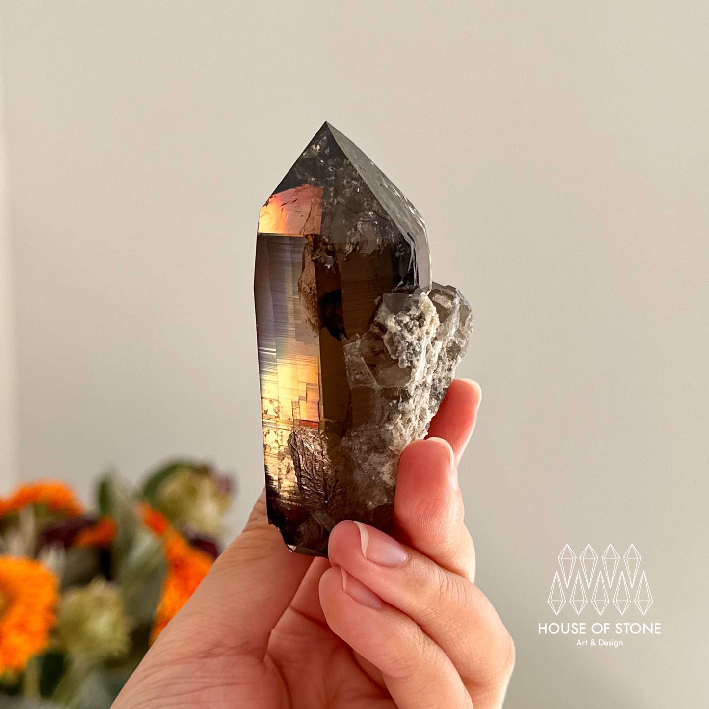 Alpine Mineral Smoky Quartz Point Specimen/Swiss Tower Apls/Double Terminated Quartz Points with Chlorite
