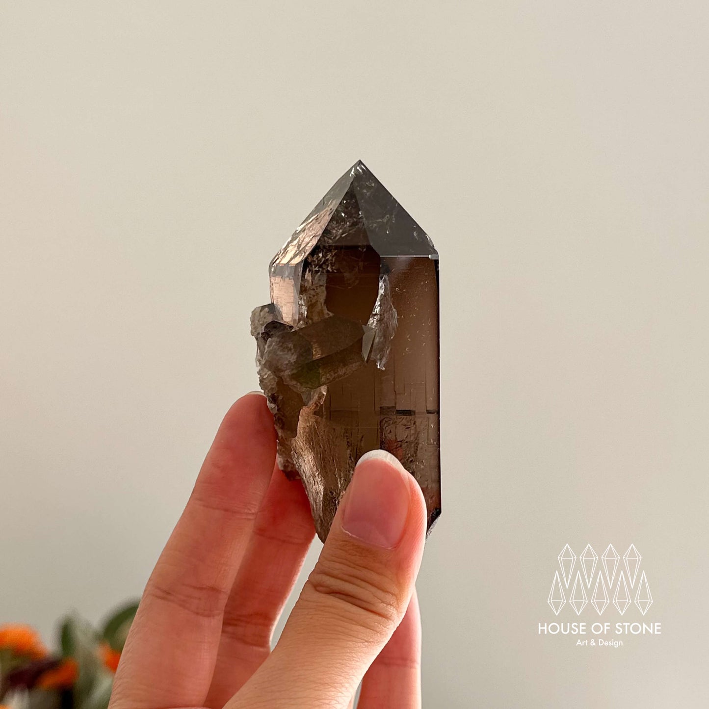 Alpine Mineral Smoky Quartz Point Specimen/Swiss Tower Apls/Double Terminated Quartz Points with Chlorite