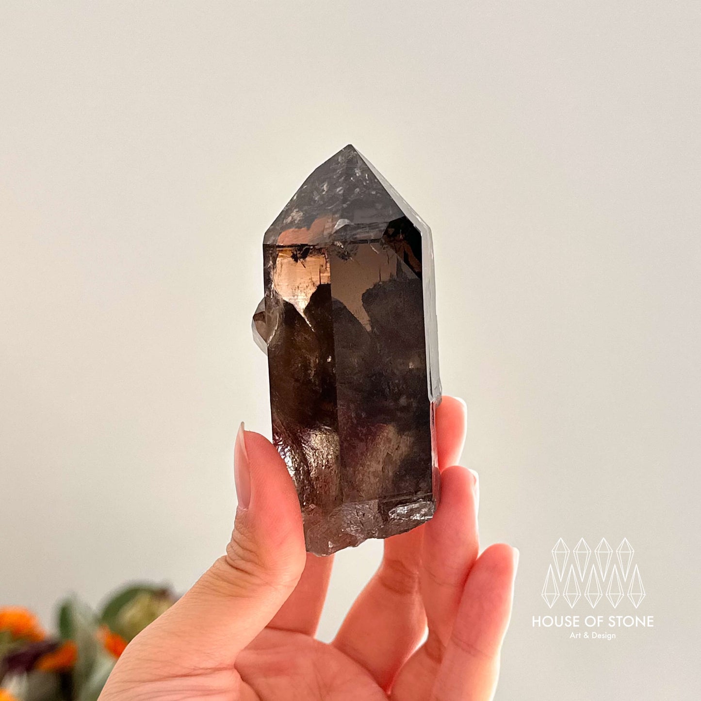 Alpine Mineral Smoky Quartz Point Specimen/Swiss Tower Apls/Double Terminated Quartz Points with Chlorite