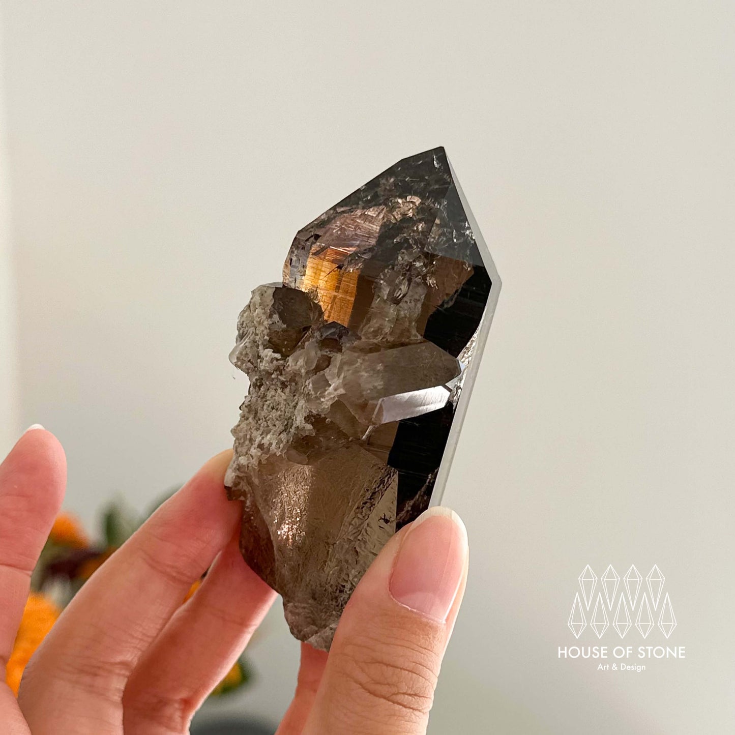 Alpine Mineral Smoky Quartz Point Specimen/Swiss Tower Apls/Double Terminated Quartz Points with Chlorite