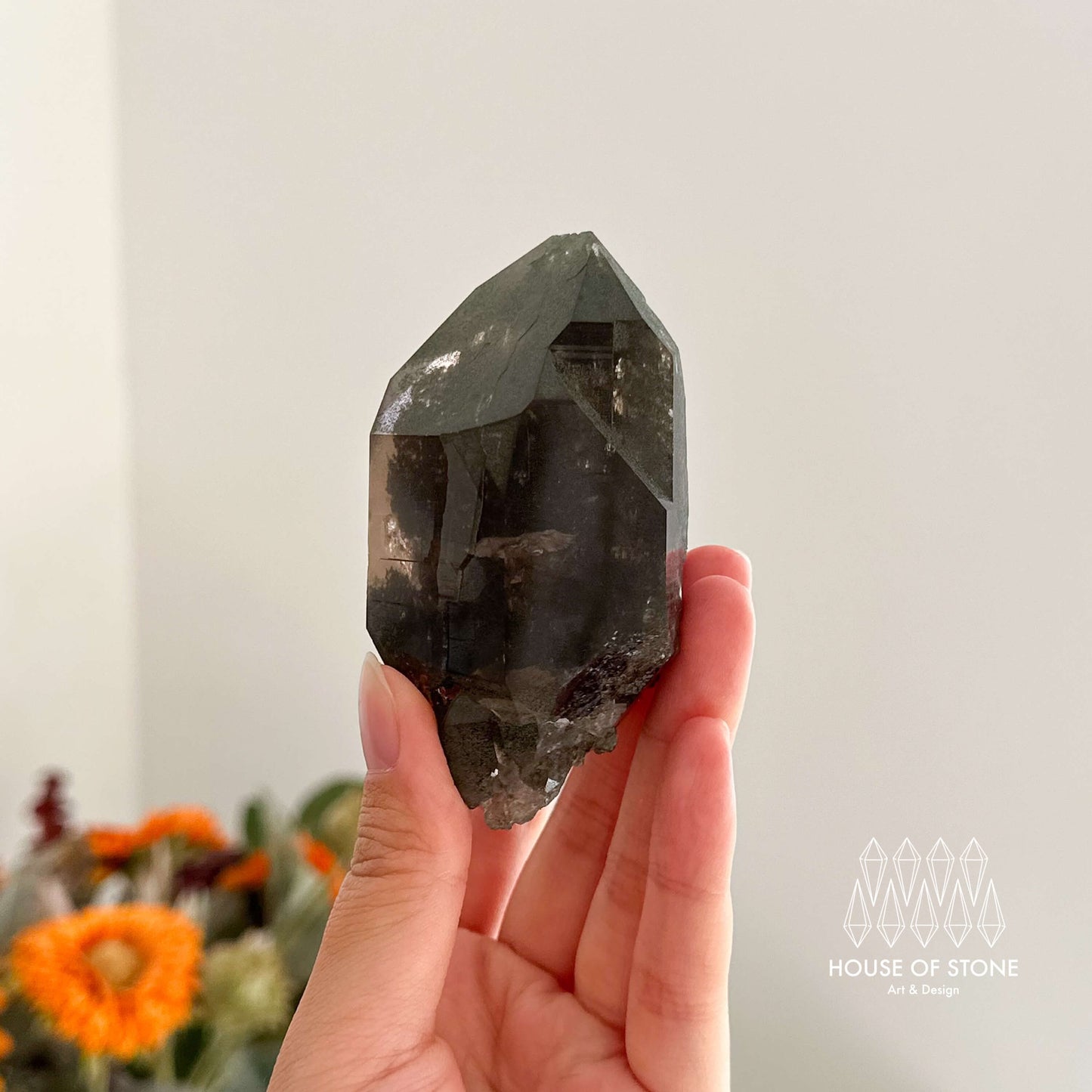 Alpine Mineral Smoky Quartz Point Specimen/Swiss Tower Apls/Double Terminated Quartz Points with Chlorite