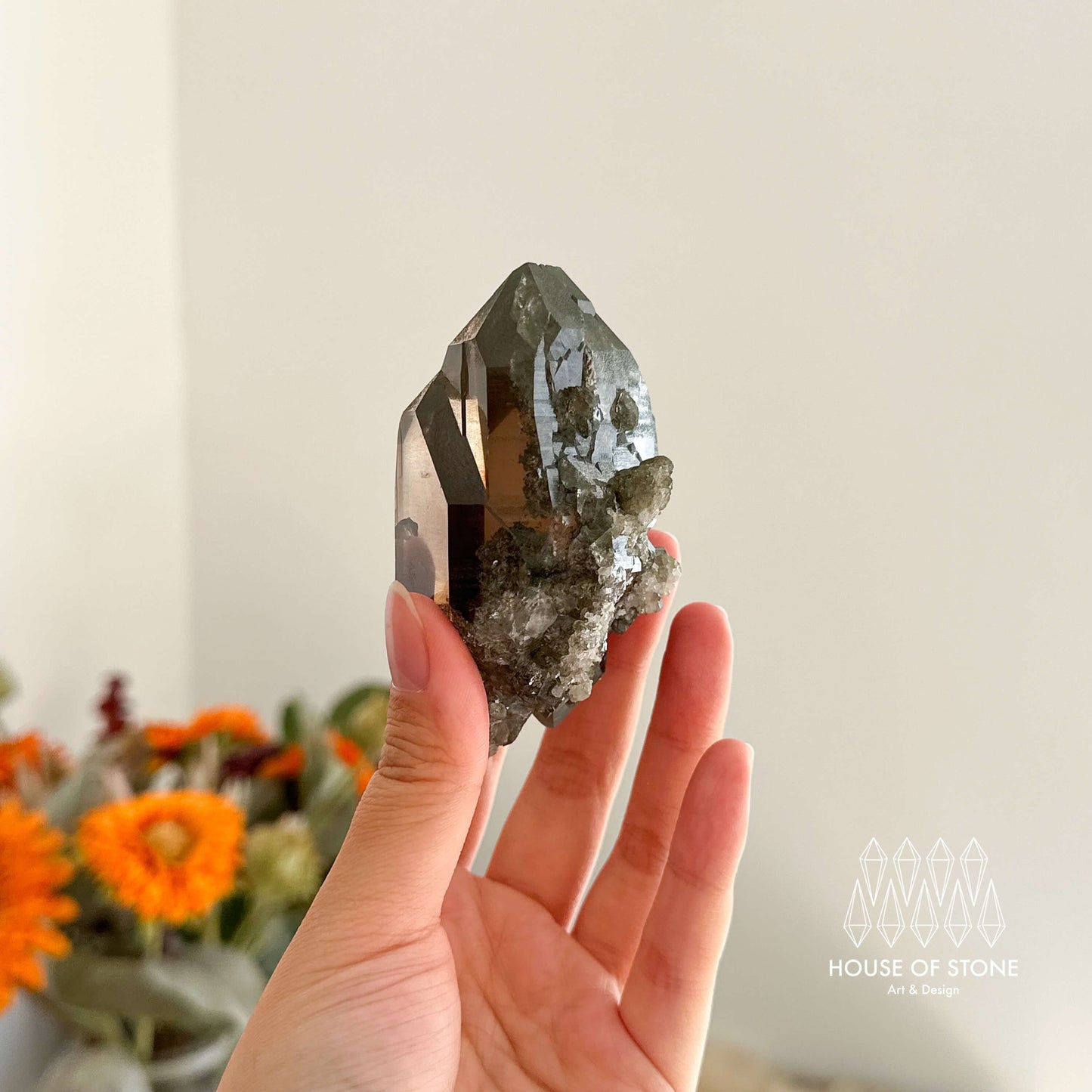 Alpine Mineral Smoky Quartz Point Specimen/Swiss Tower Apls/Double Terminated Quartz Points with Chlorite