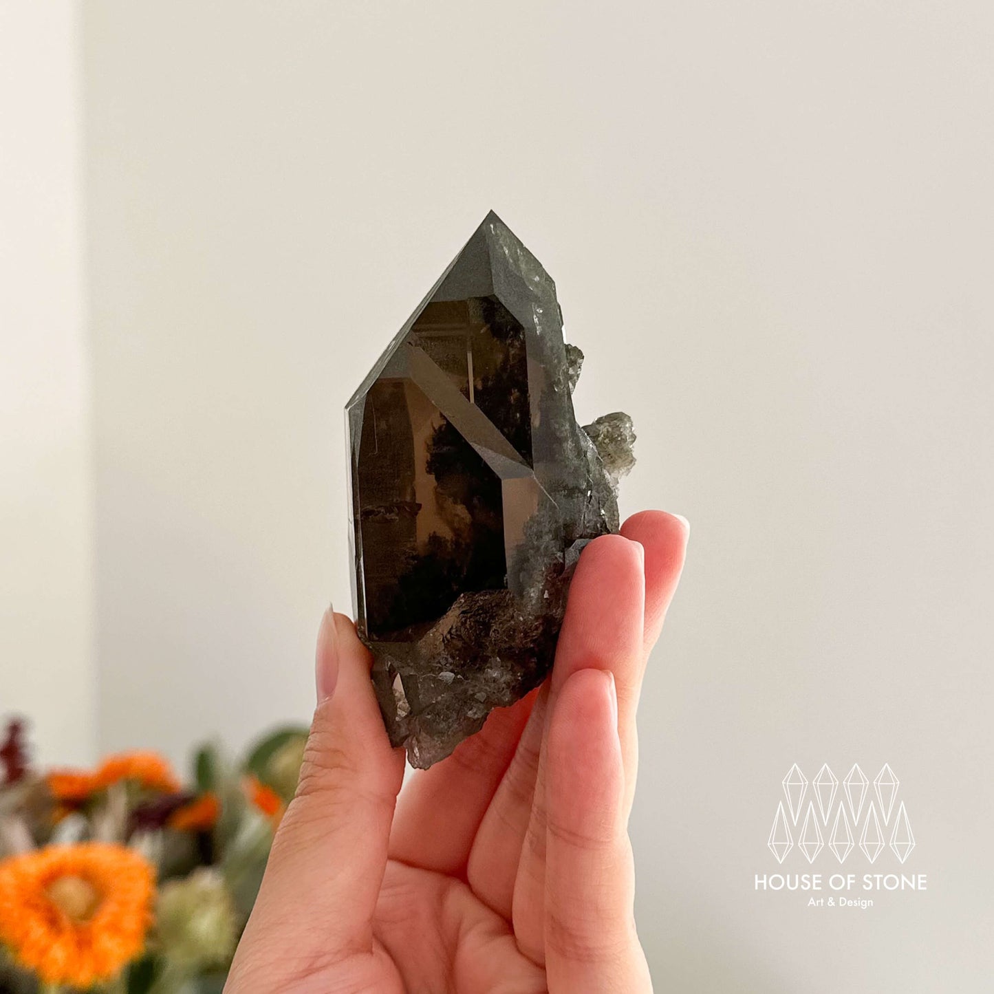 Alpine Mineral Smoky Quartz Point Specimen/Swiss Tower Apls/Double Terminated Quartz Points with Chlorite