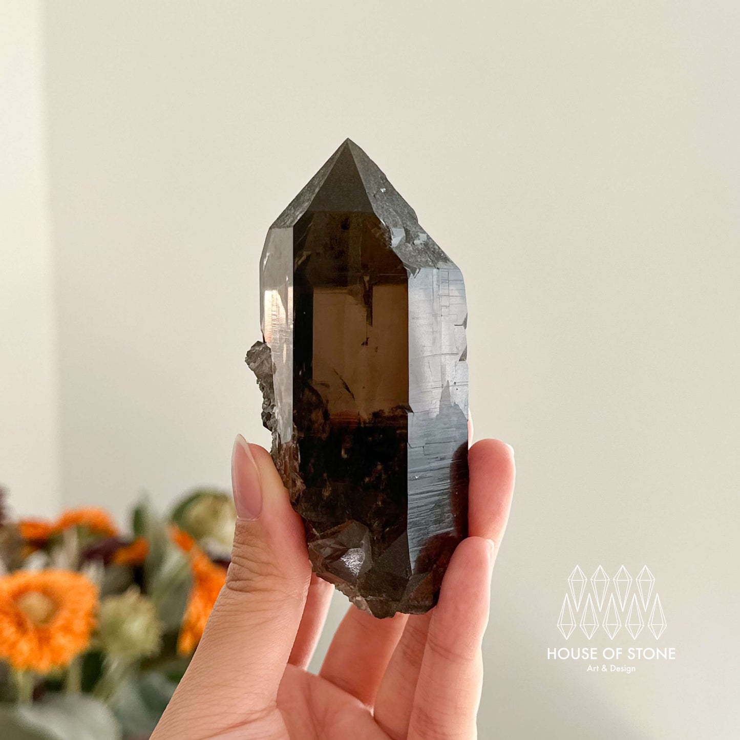 Alpine Mineral Smoky Quartz Point Specimen/Swiss Tower Apls/Double Terminated Quartz Points with Chlorite