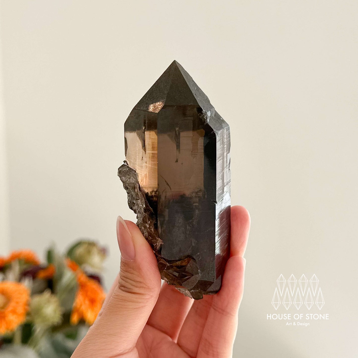 Alpine Mineral Smoky Quartz Point Specimen/Swiss Tower Apls/Double Terminated Quartz Points with Chlorite