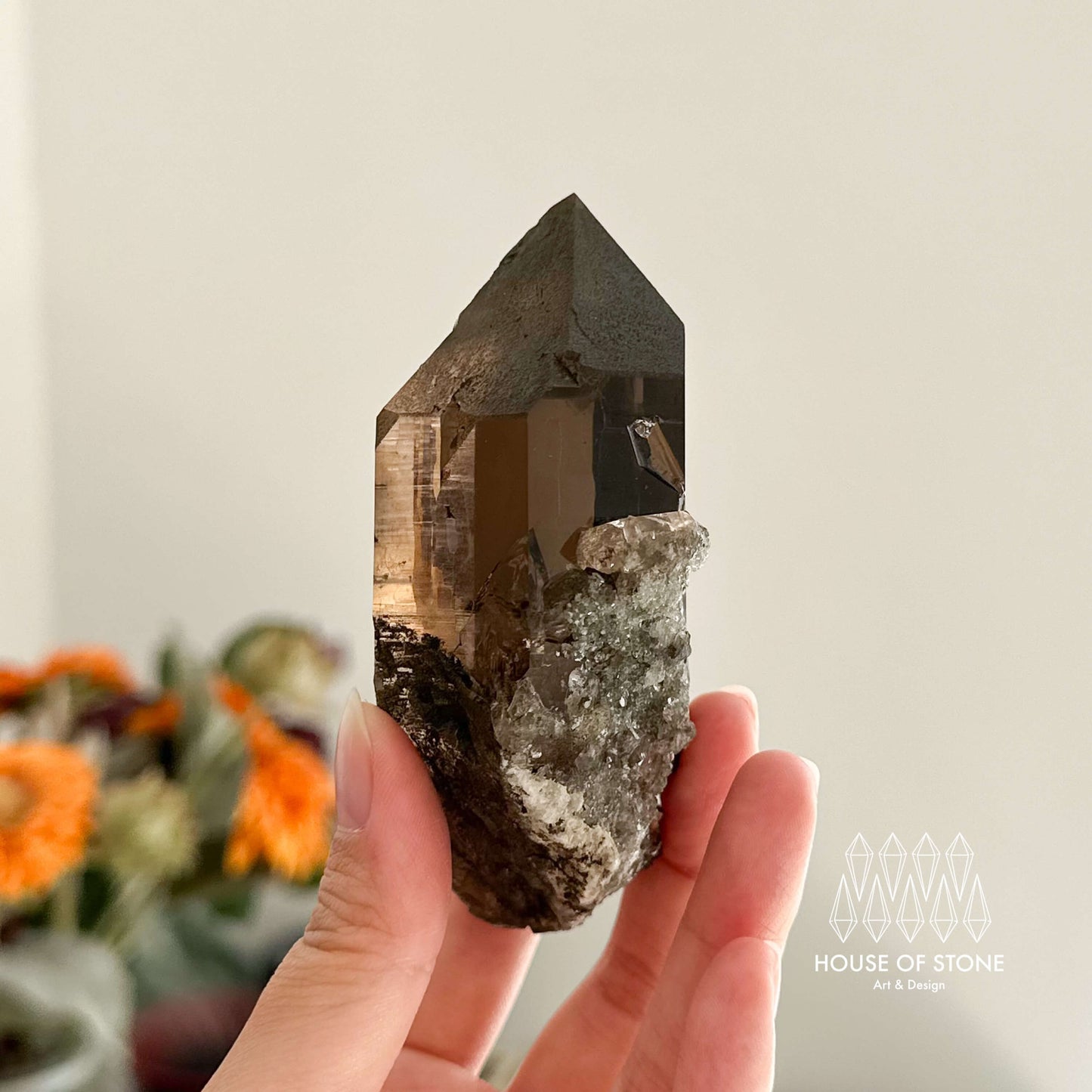 Alpine Mineral Smoky Quartz Point Specimen/Swiss Tower Apls/Double Terminated Quartz Points with Chlorite