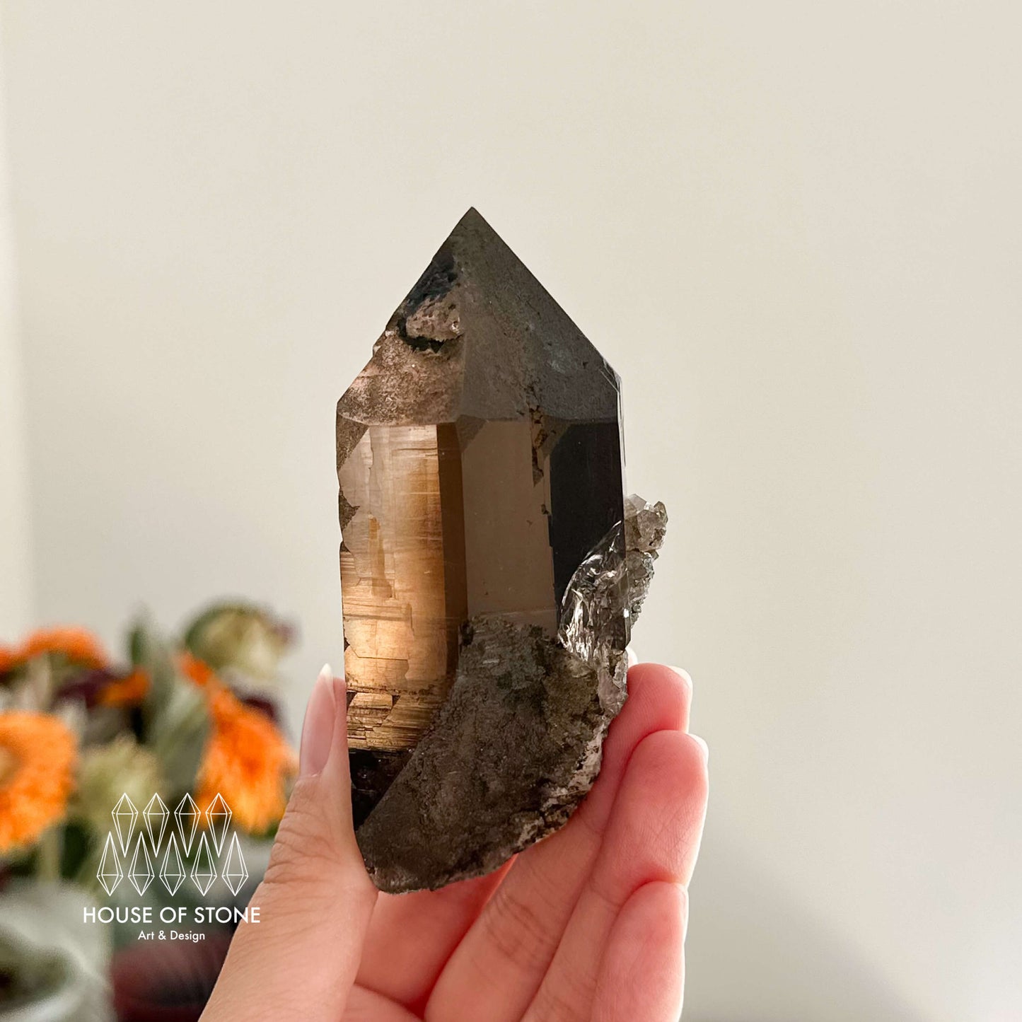 Alpine Mineral Smoky Quartz Point Specimen/Swiss Tower Apls/Double Terminated Quartz Points with Chlorite