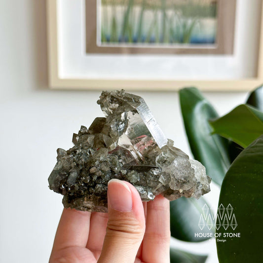 Alpine Mineral Smoky Quartz Cluster Specimen/Chamonix-Mont-Blanc France Cluster/Apls Crystal Cluster